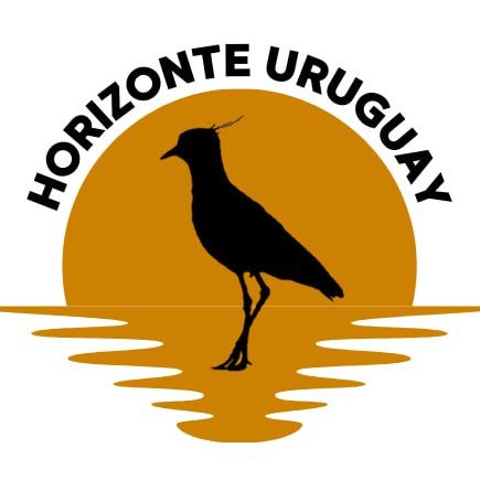 HORIZONTE URUGUAY